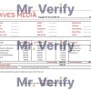 USA Jives Media advertising company pay stub Word and PDF template