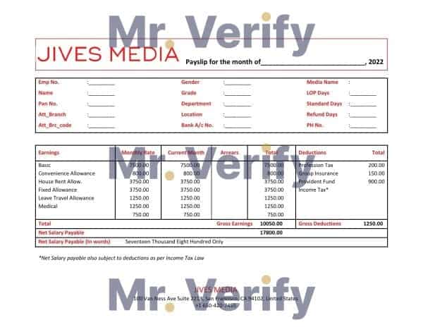 USA Jives Media advertising company pay stub Word and PDF template