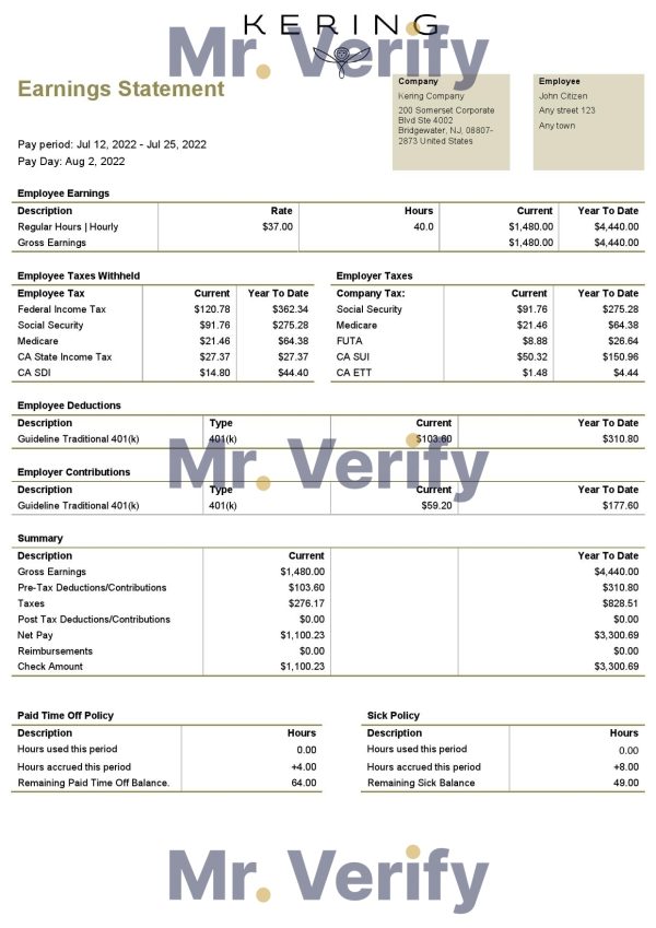 UAE Sherwin-Williams Paints paint manufacturing company pay stub Word and PDF template