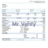 USA Maesk shipping company pay stub Word and PDF template