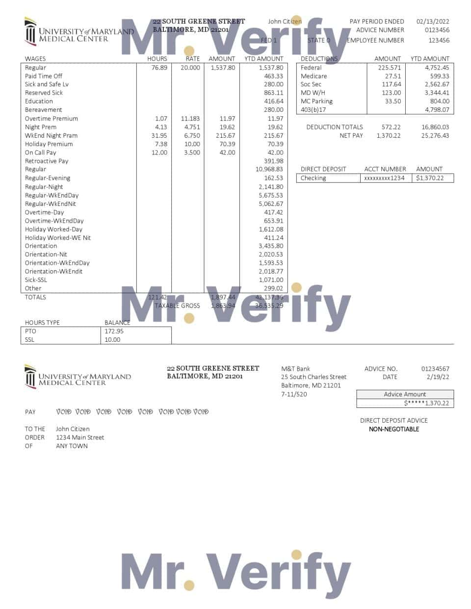 USA Maryland University of Maryland Medical Center pay stub Word and PDF template