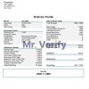 USA Merck & Co. pharmaceutical company pay stub Word and PDF template