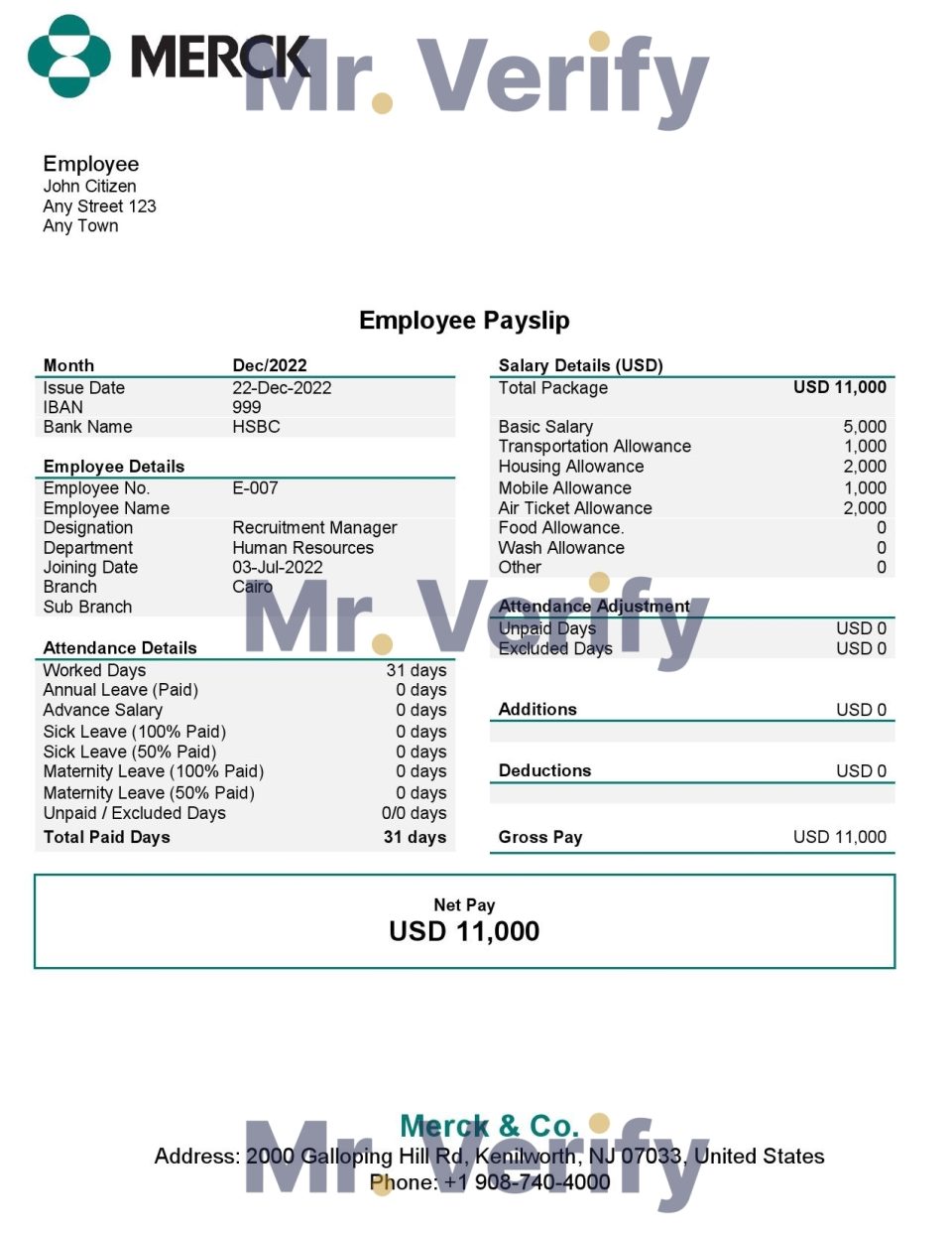 USA Merck & Co. pharmaceutical company pay stub Word and PDF template