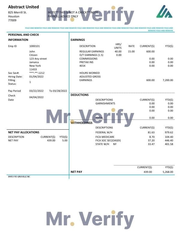 USA New York Abstract United pay stub Word and PDF template