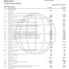 USA Navy Federal Union bank statement template in Word and PDF format (5 pages)