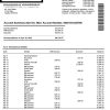 USA Netspend bank statement Word and PDF template