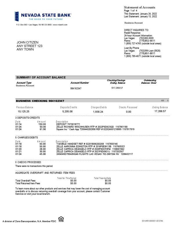 USA Nevada State Bank business checking statement, Word and PDF template, 4 pages