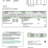 USA New Hampshire Electric Co-op electricity utility bill template in Word and PDF format