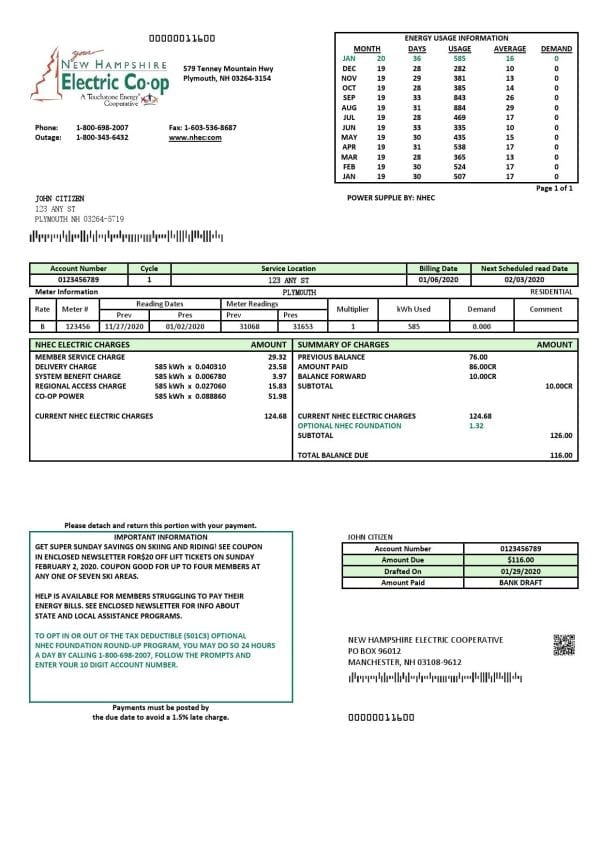 USA New Hampshire Electric Co-op electricity utility bill template in Word and PDF format
