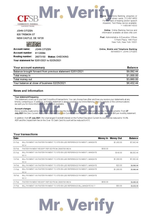 USA New York CFSB bank statement template in Excel and PDF format, 2 pages