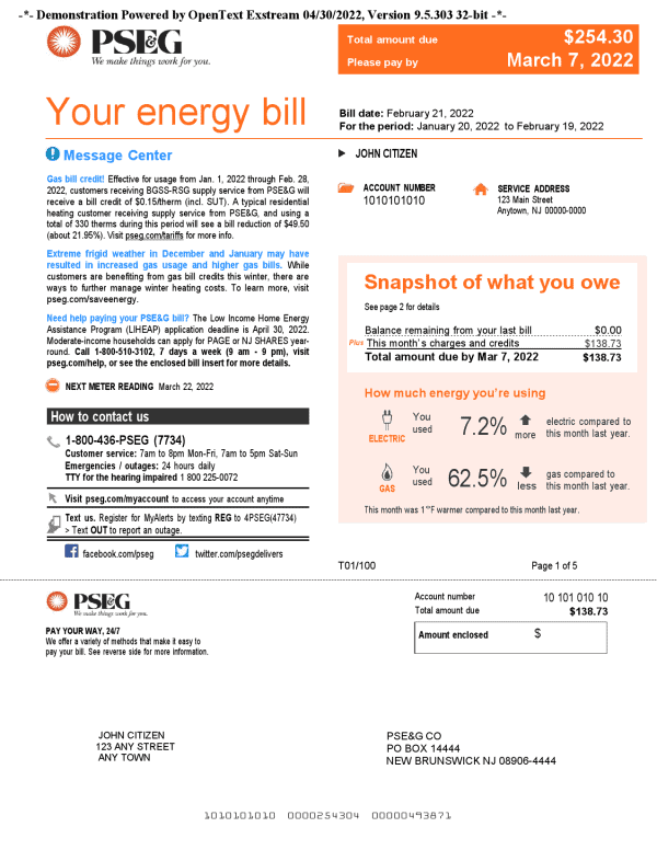 USA New York PSEG utility bill, Word and PDF template, 5 pages