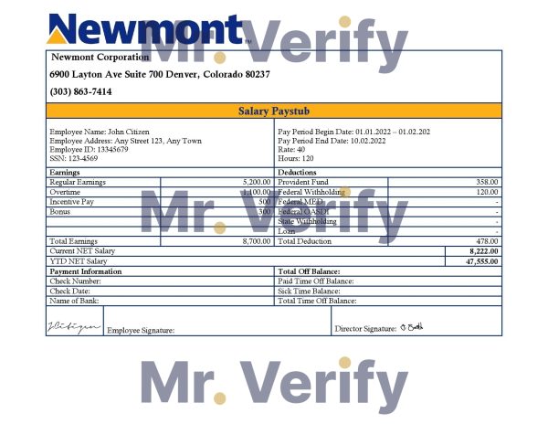 USA software company employee sheet template in Word and PDF format