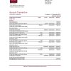 USA North Carolina BB&T Corp. bank statement template in Excel and PDF format