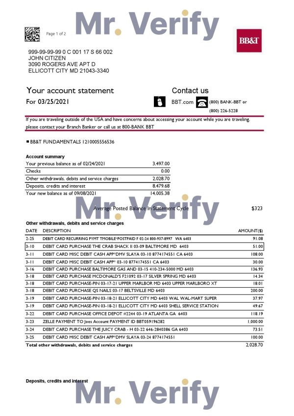 USA North Carolina BB&T Corp. bank statement template in Excel and PDF format (2 pages)