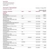 USA North Carolina BB&T Corp. bank statement template in Word and PDF format