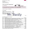 USA North Carolina BB&T Corp. bank statement template in Word and PDF format (2 pages)