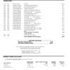 USA Pentagon Federal Credit Union (PenFed) bank statement, Word and PDF template, 3 pages