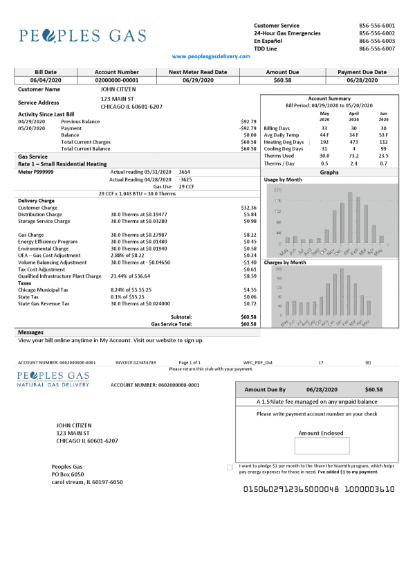 USA Tyler Technologies utility bill template in Word and PDF format