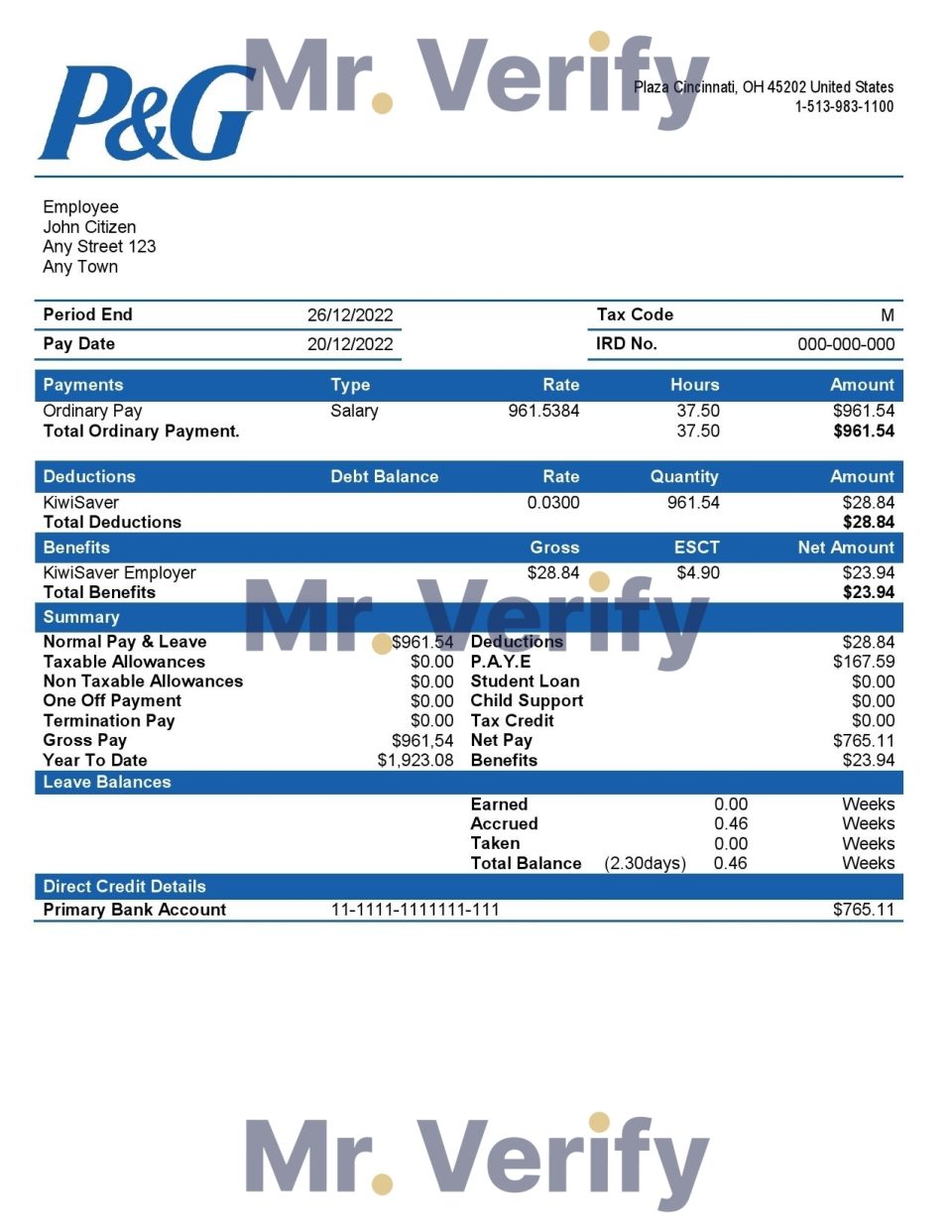 USA Procter & Gamble consumer products company pay stub Word and PDF template