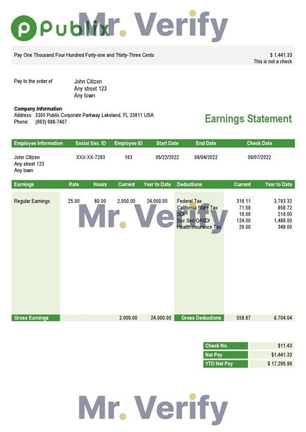 USA Publix Super Markets Inc. supermarket company pay stub Word and PDF template