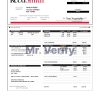 USA Reed Smith LLP law company pay stub Word and PDF template