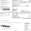 USA South Carolina SCE&G electricity utility bill template in Word and PDF format