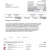 USA St. George bank visa card statement, Word and PDF template, 3 pages