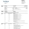 USA SunTrust bank statement, Word and PDF template, 2 pages