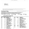 USA TCF bank statement, Word and PDF template, 3 pages