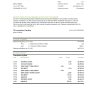 USA TD bank statement template in .xls and .pdf file format