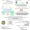 USA Massachusetts Town of Rowley Municipal Lighting Plant electricity utility bill template in Word and PDF format