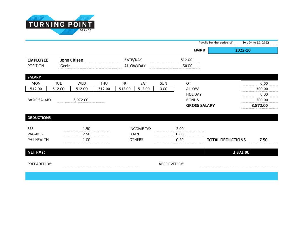 USA Turning Point Brands tobacco company pay stub Word and PDF template