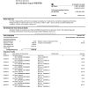 USA U.S. bank statement template in Word and PDF format (3 pages)