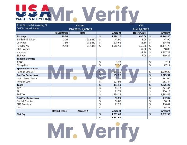 USA NIPPON YUSEN KAISHA shipping company pay stub Word and PDF template