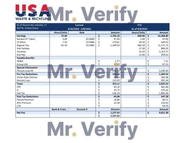 USA NIPPON YUSEN KAISHA shipping company pay stub Word and PDF template