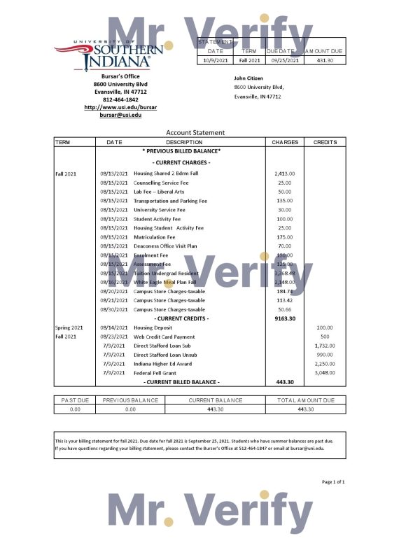 USA University of Southern Indiana account billing statement template in Excel and PDF .xls and .pdf file format 600x776 - Cart