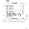 USA University of Southern Indiana account billing statement template in Word and PDF format