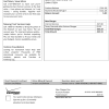 USA Verizon utility bill template in Word and PDF format