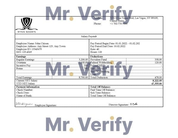USA Wynn Resorts hospitality company pay stub Word and PDF template
