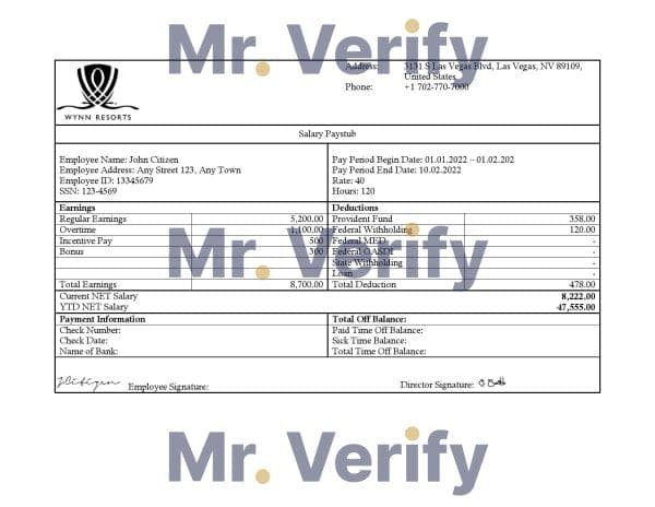 USA Southwest Airlines airlines company pay stub Word and PDF template