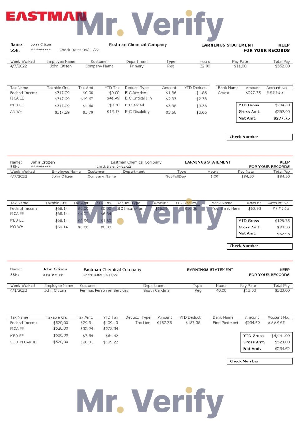 USA chemical industry earning statement template in Word and PDF format
