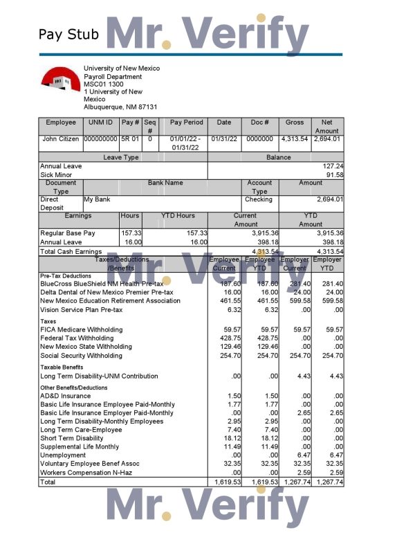 Paraguay Vision Banco bank statement template in Word and PDF format