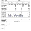 USA educational earning statement template in Word and PDF format