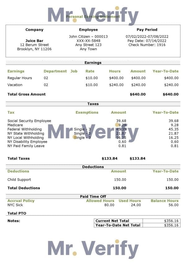 USA personal earning statement template in Word and PDF format
