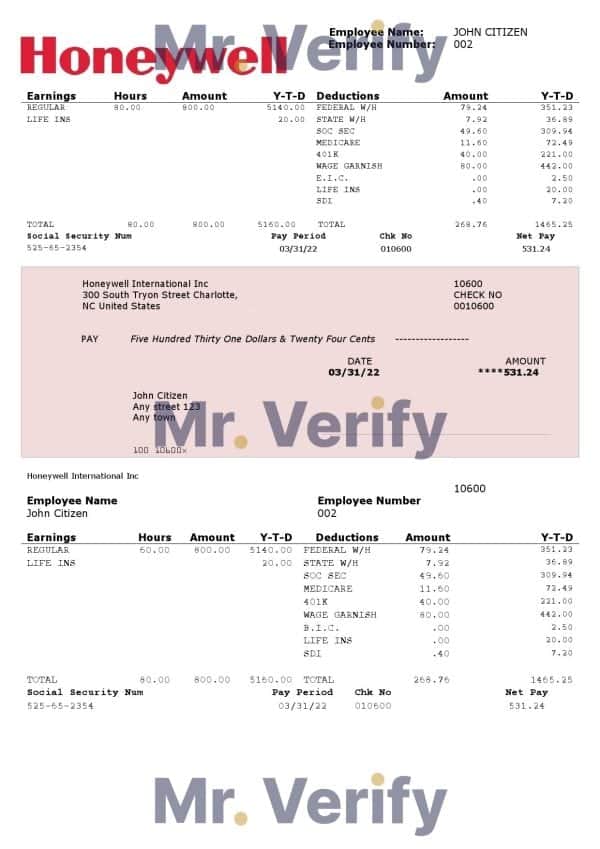 USA Honeywell conglomerate company pay stub Word and PDF template