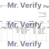 USA software technologies company employee sheet template in Word and PDF format