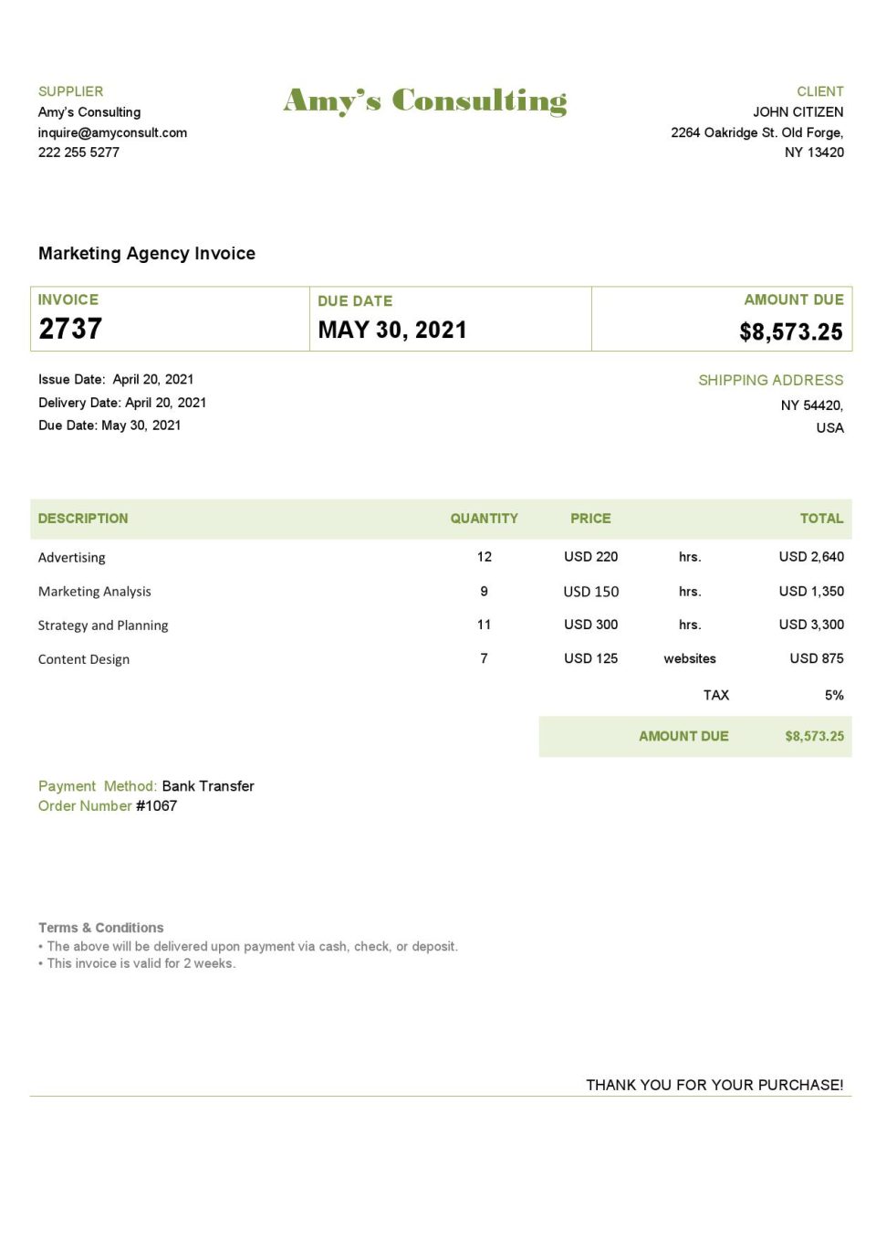 High-Quality USA Amy’s Consulting Invoice Template PDF | Fully Editable