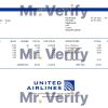 USA United Airlines Holdings airlines company pay stub Word and PDF template