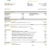 Venezuela Banesco bank statement template in Word and PDF format
