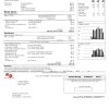 USA WPS utility bill template in Word and PDF format